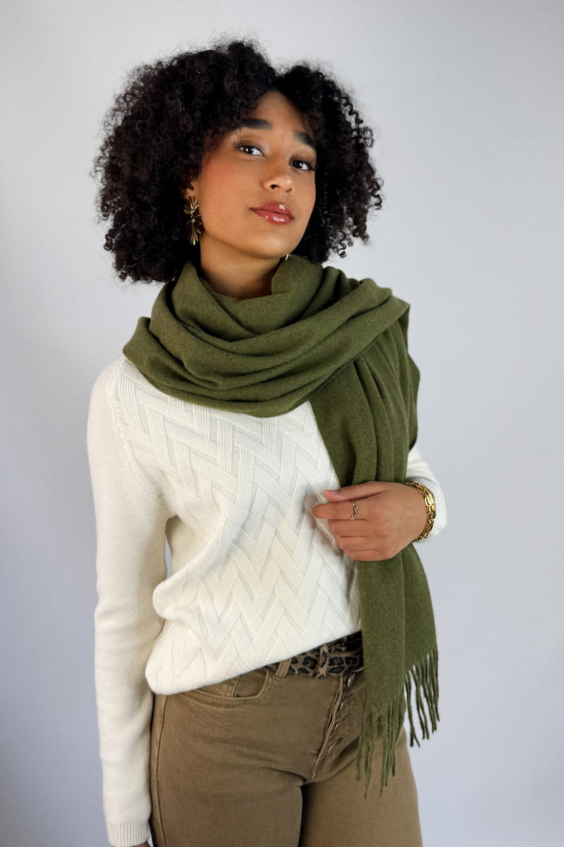 clementine 505 H25 1